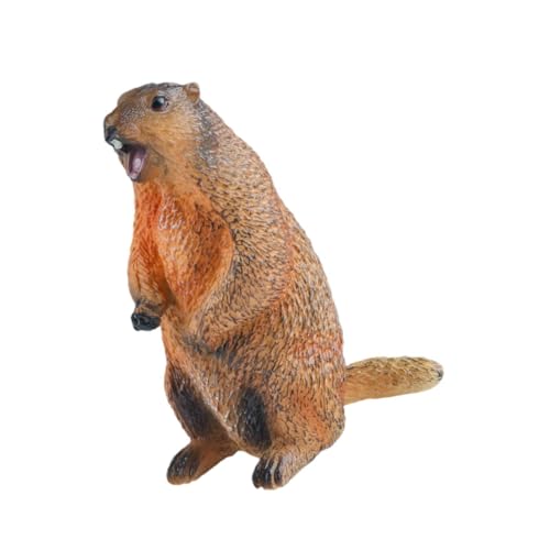 Oshhni Groundhog Model Figur Kognitive Spielzeug Miniatur Handwerkssimulation Desktop -Origination Bildung für Jungen Mädchen Kinder Kinder Kinder, Offener Mund Oshhni Groundhog Model Figur Kognitive Spielzeug Miniatur Handwerkssimulation Desktop -Origination Bildung für Jungen Mädchen Kinder Kinder Kinder, Offener Mund von Oshhni