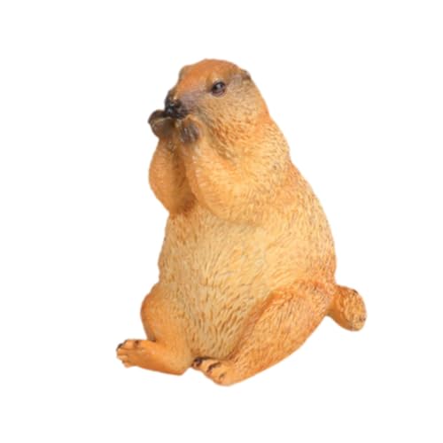 Oshhni Groundhog Model Figur Kognitive Spielzeug Miniatur Handwerkssimulation Desktop -Origination Bildung für Jungen Mädchen Kinder Kinder Kinder, Sitzung Oshhni Groundhog Model Figur Kognitive Spielzeug Miniatur Handwerkssimulation Desktop -Origination Bildung für Jungen Mädchen Kinder Kinder Kinder, Sitzung von Oshhni
