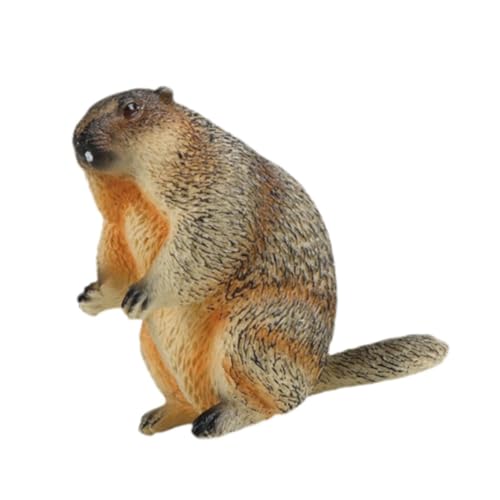 Oshhni Groundhog Model Figur Kognitive Spielzeug Miniatur Handwerkssimulation Desktop -Origination Bildung für Jungen Mädchen Kinder Kinder Kinder, Stehen Oshhni Groundhog Model Figur Kognitive Spielzeug Miniatur Handwerkssimulation Desktop -Origination Bildung für Jungen Mädchen Kinder Kinder Kinder, Stehen von Oshhni
