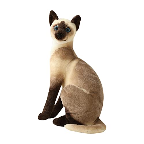 Oshhni Katze Plüschtiere Gefüllte Hautfreundliche Bequeme Puppe Schöne Siamesische Katzen für Freundin Kinder Kinder Teenager sgeschenk, Styled von Oshhni