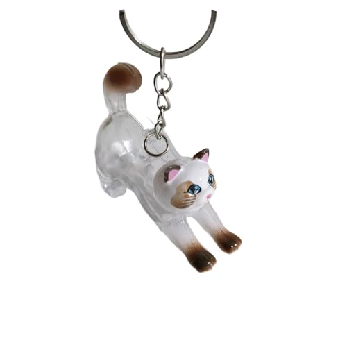 Oshhni Katzen-Schlüsselanhänger, Andenken, praktisch für Kinder und Erwachsene, einzigartiges Haustier-Gedenkgeschenk, tragbar, multifunktional, Style A von Oshhni