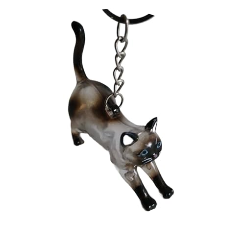 Oshhni Katzen-Schlüsselanhänger, Andenken, praktisch für Kinder und Erwachsene, einzigartiges Haustier-Gedenkgeschenk, tragbar, multifunktional, Style B von Oshhni