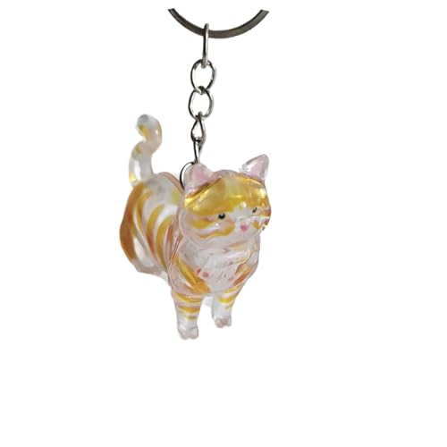 Oshhni Katzen-Schlüsselanhänger, Andenken, praktisch für Kinder und Erwachsene, einzigartiges Haustier-Gedenkgeschenk, tragbar, multifunktional, Style C von Oshhni