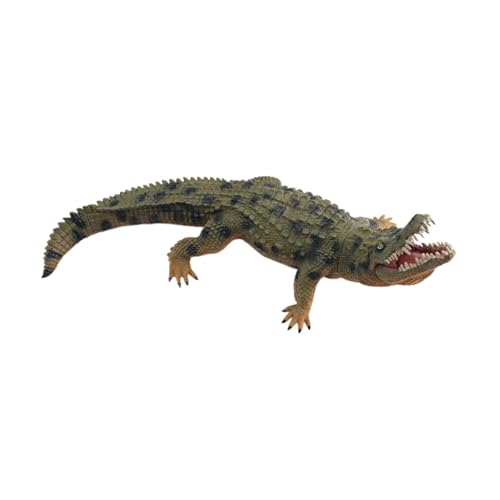 Oshhni Krokodilfigur, Spielzeug, Alligatorfigur, simuliertes weiches Geschenk für, dekorativ, 32,5 cm, realistisches pädagogisches Spielzeug, GrÜn von Oshhni