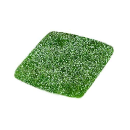 Oshhni Miniatur -Gelände statisches Gras buschiges Modell Gras vielseitig künstliche Ornament Fake für Rasenpuppenhaus Baudekoration Dekor, Blau Oshhni Miniatur -Gelände statisches Gras buschiges Modell Gras vielseitig künstliche Ornament Fake für Rasenpuppenhaus Baudekoration Dekor, Blau von Oshhni