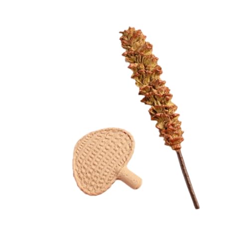 Oshhni Miniaturbesen und Fan Set Dollhouse Feder Duster Modell 1:12 Dollhouse Geschenk Ornament Szene Miniatur -Fan -Dekor für DIY von Oshhni