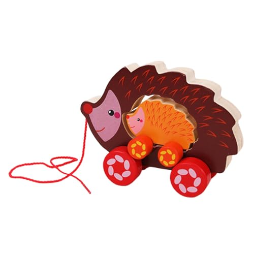 Oshhni Nachziehspielzeug aus, Frühförderung, Schiebe- und Ziehspielzeug mit Schnur, Motorikspielzeug, Igel von Oshhni