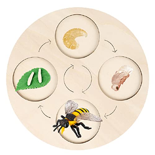 Oshhni Pädagogisches Spielzeug für Kleinkinder, Bienenmuster von Oshhni