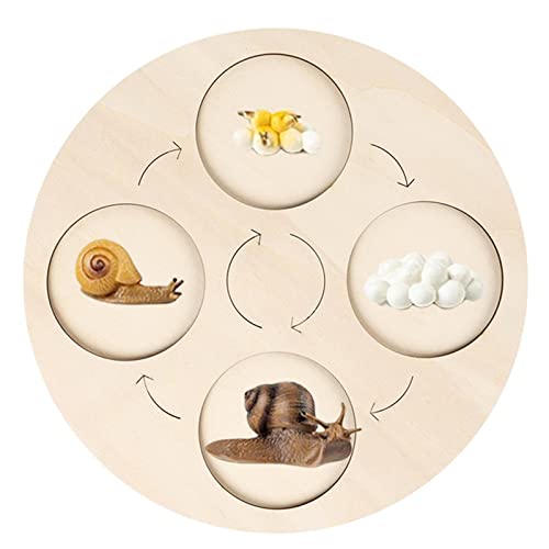 Oshhni Pädagogisches Spielzeug für Kleinkinder, Lernmaterial für frühe Entwicklung von Oshhni