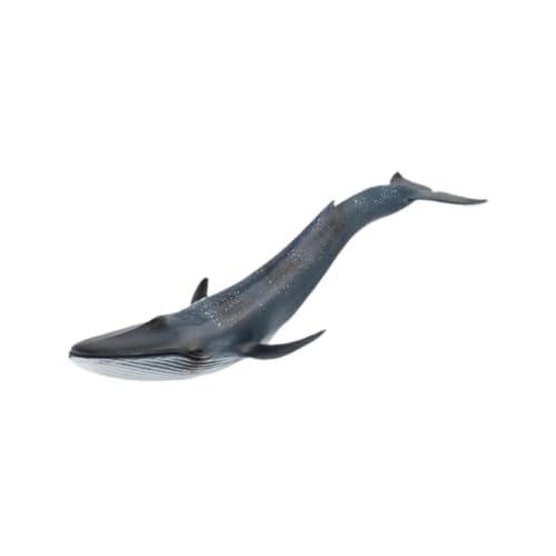 Oshhni Simulationswale Modellfiguren Kinder Spielen Spielzeugparty Favor Kollektion Simuliertes Marine Tiermodell Tierfiguren für Mädchen Oshhni Simulationswale Modellfiguren Kinder Spielen Spielzeugparty Favor Kollektion Simuliertes Marine Tiermodell Tierfiguren für Mädchen von Oshhni