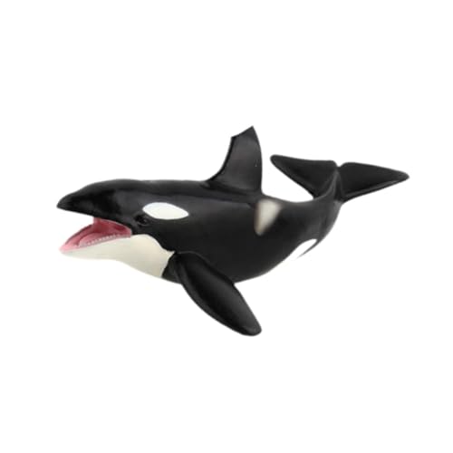 Oshhni Simulationswale Modellfiguren Kinder Spielen Spielzeugparty Favor Kollektion Simuliertes Marine Tiermodell Tierfiguren für Mädchen Oshhni Simulationswale Modellfiguren Kinder Spielen Spielzeugparty Favor Kollektion Simuliertes Marine Tiermodell Tierfiguren für Mädchen von Oshhni