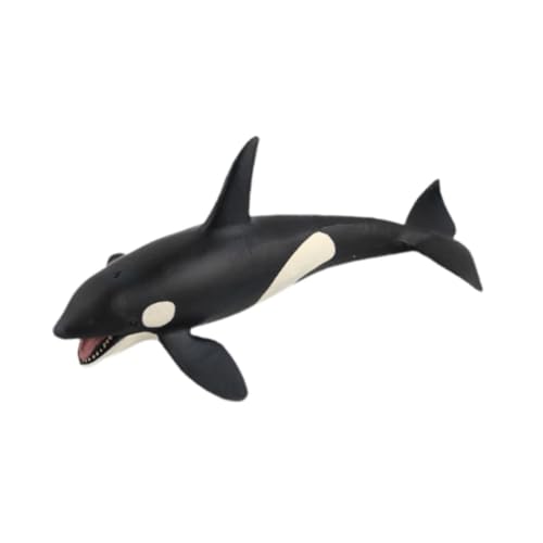 Oshhni Simulationswale Modellfiguren Kinder Spielen Spielzeugparty Favor Kollektion Simuliertes Marine Tiermodell Tierfiguren für Mädchen von Oshhni