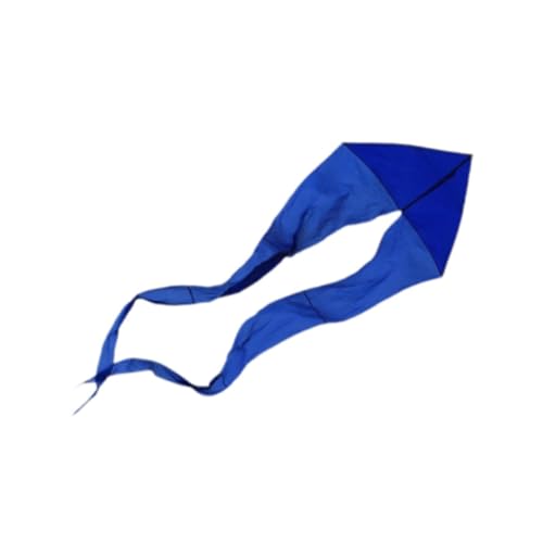 Oshhni Triangle Kite Flying Toy Einfach zu fliegen 21,3 Fuß 650 cm Kite Outdoor Spielzeug für Beach Park Playground Hinterhof Anfänger Erwachsene, Blau von Oshhni