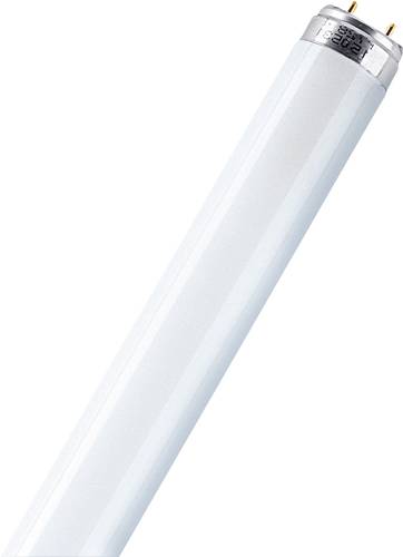 Osram Leuchtstoffröhre EEK: G (A - G) G13 16W Warmweiß Röhrenform (Ø x L) 25.5mm x 734.2mm von Osram