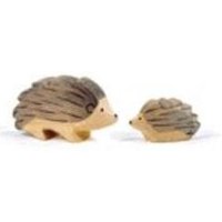 Igel, klein Igel, klein von Ostheimer