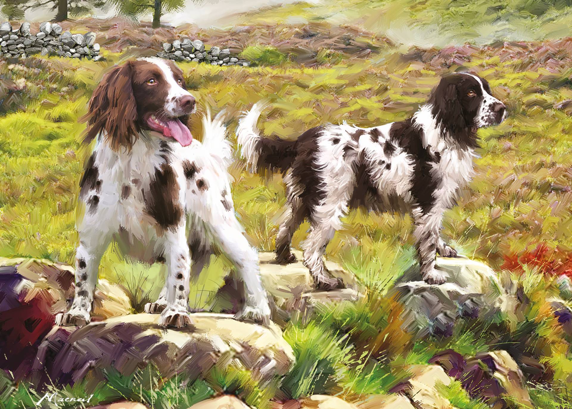 Otter House Puzzle Spaniel on Moor 1000 Teile Puzzle Otter-House-Puzzle-75804 von Otter House Puzzle