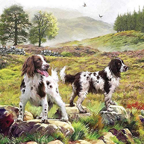 Otter House Spaniels on The Moor - Spaniel im Moor - Puzzle 1000 Teile von Otter House