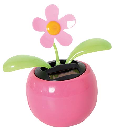 Bewegliche "Blume & Insekten" mit Solarzelle ~ von Out of the blue