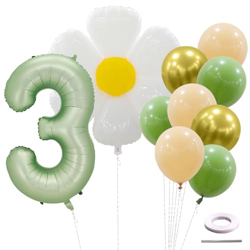 Ovanda 3. Geburtstag Junge, Gänseblümchen Deko Geburtstagsdeko 3 Jahre, Grün Folienballon 3 mit Luftballons 3. Geburtstag, Geburtstagsdeko 3 Jahre Mädchen, Kinder Geburtstagsfeier Digital Ballon Ovanda 3. Geburtstag Junge, Gänseblümchen Deko Geburtstagsdeko 3 Jahre, Grün Folienballon 3 mit Luftballons 3. Geburtstag, Geburtstagsdeko 3 Jahre Mädchen, Kinder Geburtstagsfeier Digital Ballon von Ovanda