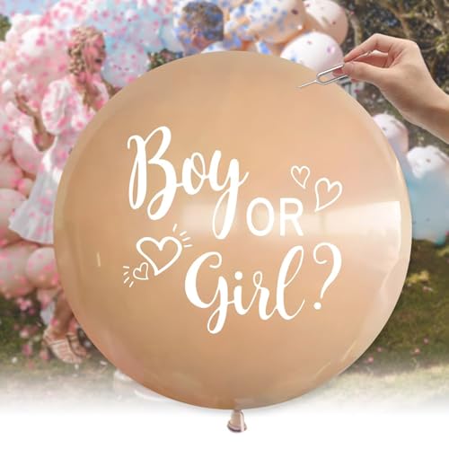 Ovanda Ovanda Gender Reveal Balloon XXL 91cm Boy or Girl Deko, mit Rosa Blau Konfetti für Gender Reveal Party Deko, Geschlechtsverkündung Baby, Gender Reveal Luftballons Ovanda Ovanda Gender Reveal Balloon XXL 91cm Boy or Girl Deko, mit Rosa Blau Konfetti für Gender Reveal Party Deko, Geschlechtsverkündung Baby, Gender Reveal Luftballons von Ovanda