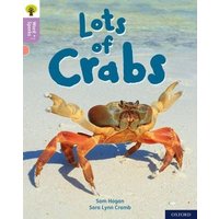 Oxford Reading Tree Word Sparks: Level 1+: Lots of Crabs von Oxford University Press