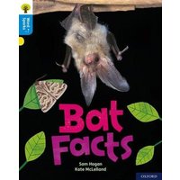 Oxford Reading Tree Word Sparks: Level 3: Bat Facts von Oxford University Press
