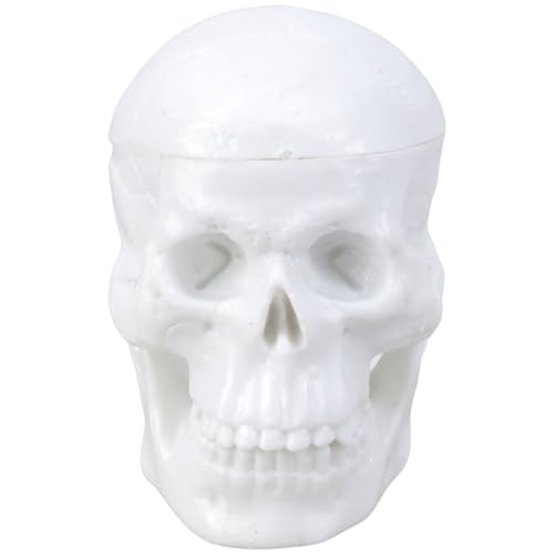 Oxxggkao Medizinische Schädel Anatomie Model Figur Mit Wie Knochenstruktur Für Studentische Fachkräfte Künstler Lernen Hilfsmittel Klassenzimmer Schädel Figurine Oxxggkao Medizinische Schädel Anatomie Model Figur Mit Wie Knochenstruktur Für Studentische Fachkräfte Künstler Lernen Hilfsmittel Klassenzimmer Schädel Figurine von Oxxggkao