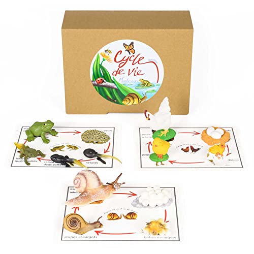 Pacha ECHECS® – Lebenszyklus-Spiel für Tiere – Montessori Lernmaterial für die Entwicklung | Lernwerkzeug | Realistische Figuren | Wachstumssimulation | Anatomie | Biologie von Pacha Echecs