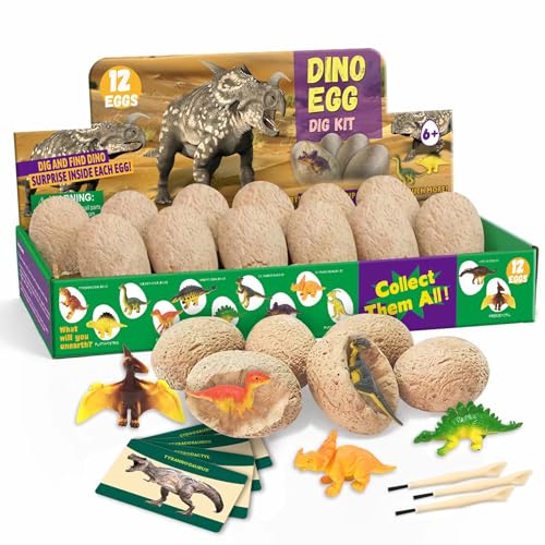 PAMIYO Dino Ausgrabungsset für Kinder, 12 Stück Dinosaurier Eier Ausgraben Dino Ei Spielzeug Party Dino Eier zum Ausgraben Dinosaurier Spielzeug ab 4 5 6 7 8 9 10 Jahre Geschenk für Kinder von PAMIYO