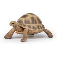 Spielfigur Hermanns Schildkröte von PAPO SAS