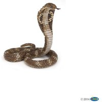 Königskobra Königskobra von PAPO SAS