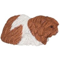 Meerschweinchen von PAPO SAS