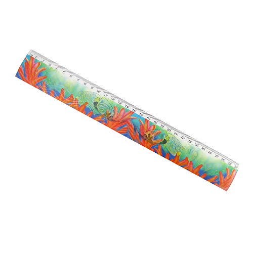 PARTY DISCOUNT Holographisches Lineal Unterwasser-Welt, 30 cm, 6 Stück, für Kindergeburtstage, Schultüten, Promotion-Aktionen, Tombola-Preise und viele Weitere Ideen PARTY DISCOUNT Holographisches Lineal Unterwasser-Welt, 30 cm, 6 Stück, für Kindergeburtstage, Schultüten, Promotion-Aktionen, Tombola-Preise und viele Weitere Ideen von PARTY DISCOUNT