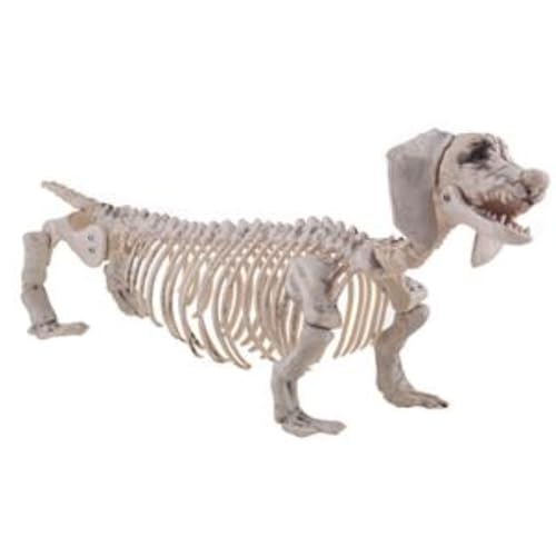 PARTY DISCOUNT NEU Halloween-Deko-Figur Dackel-Skelett, ca. 56x13x22cm von PARTY DISCOUNT