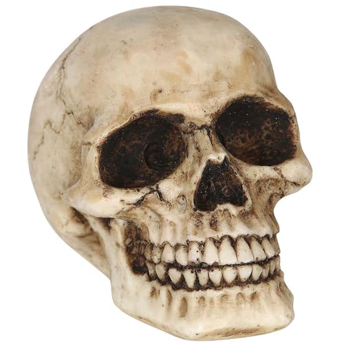 PARTY DISCOUNT NEU Halloween-Deko Totenkopf, schwere Qualität, ca. 8cm von PARTY DISCOUNT