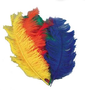 PARTY DISCOUNT Straußenfeder, 50-60cm, schwarz von PARTY DISCOUNT