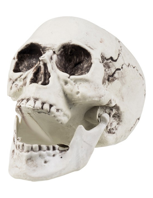 Schauriger Totenkopf Totenschädel Halloween Party-Deko weiss 20x15cm Schauriger Totenkopf Totenschädel Halloween Party-Deko weiss 20x15cm von BOLAND BV