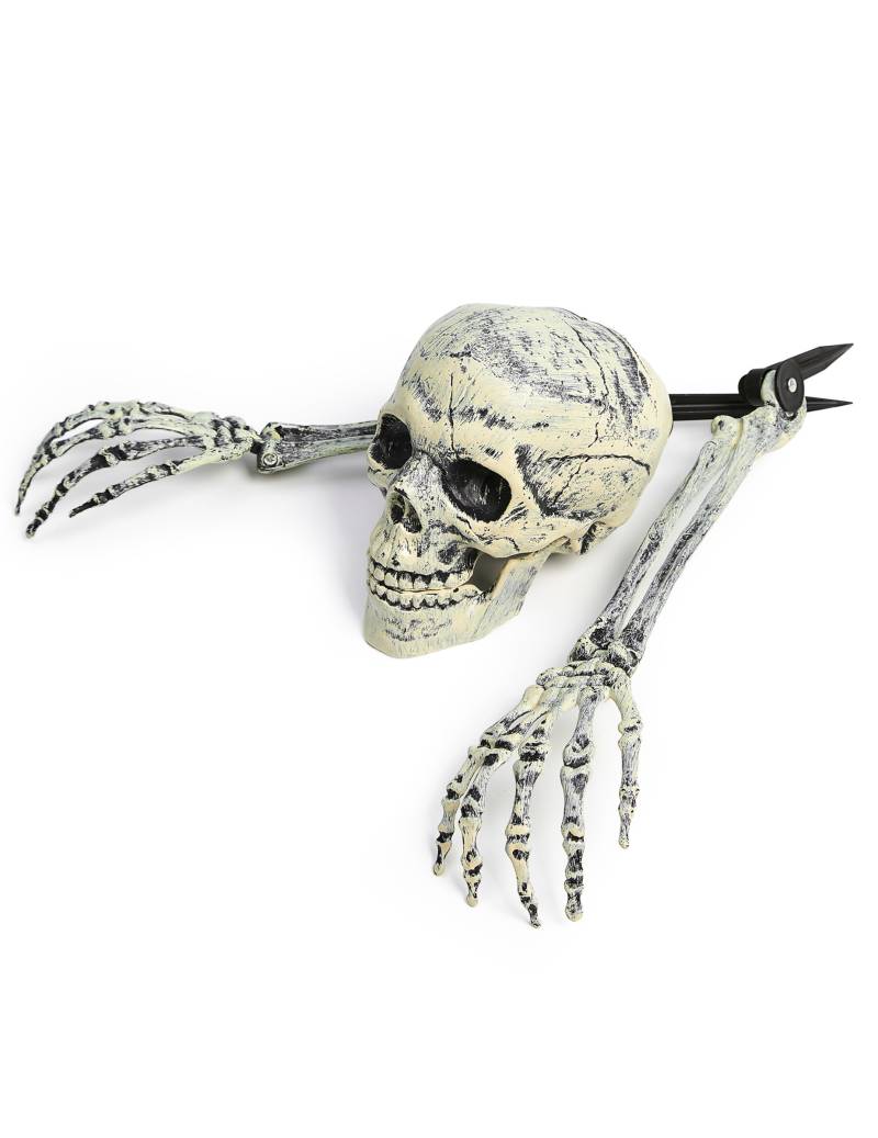 Skelett-Dekorartion für den Garten Skelett-Teile Halloween Dekoration 3-teilig beige Arme 38 cm Schädel 15,2 x 11,4 cm von KARNEVAL-MEGASTORE