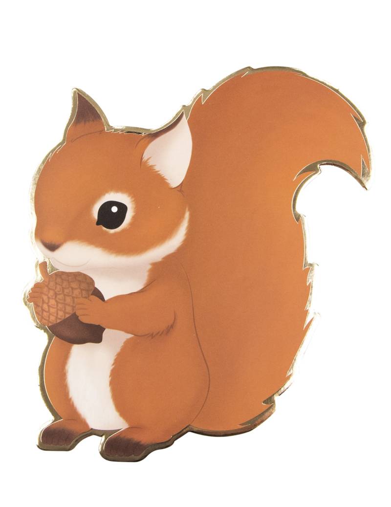 8 Einladungskarten Waldtiere Eichhörnchen 14 x 13 cm von PARTYPRO