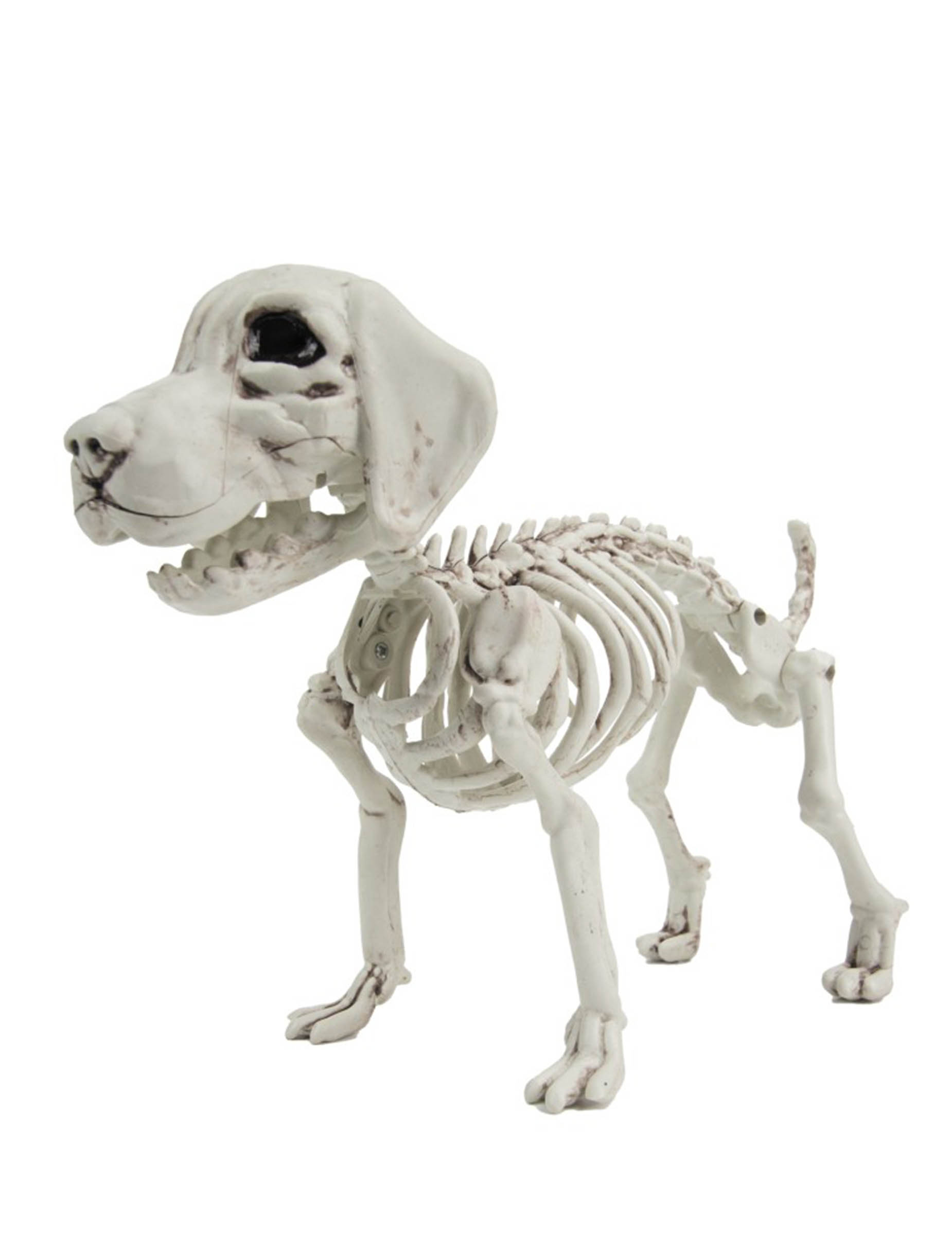 Hunde Skelett Deko für Halloween 26cm von PARTYPRO