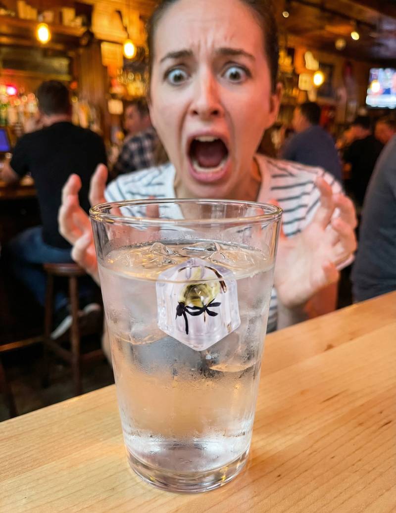 Scherzartikel Eiswürfel mit Fliege für alle – transparenter Spaßwürfel von PARTYPRO