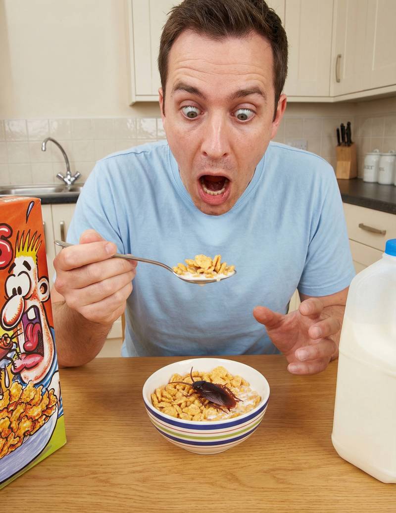 Scherzartikel Kakerlake für alle von PARTYPRO