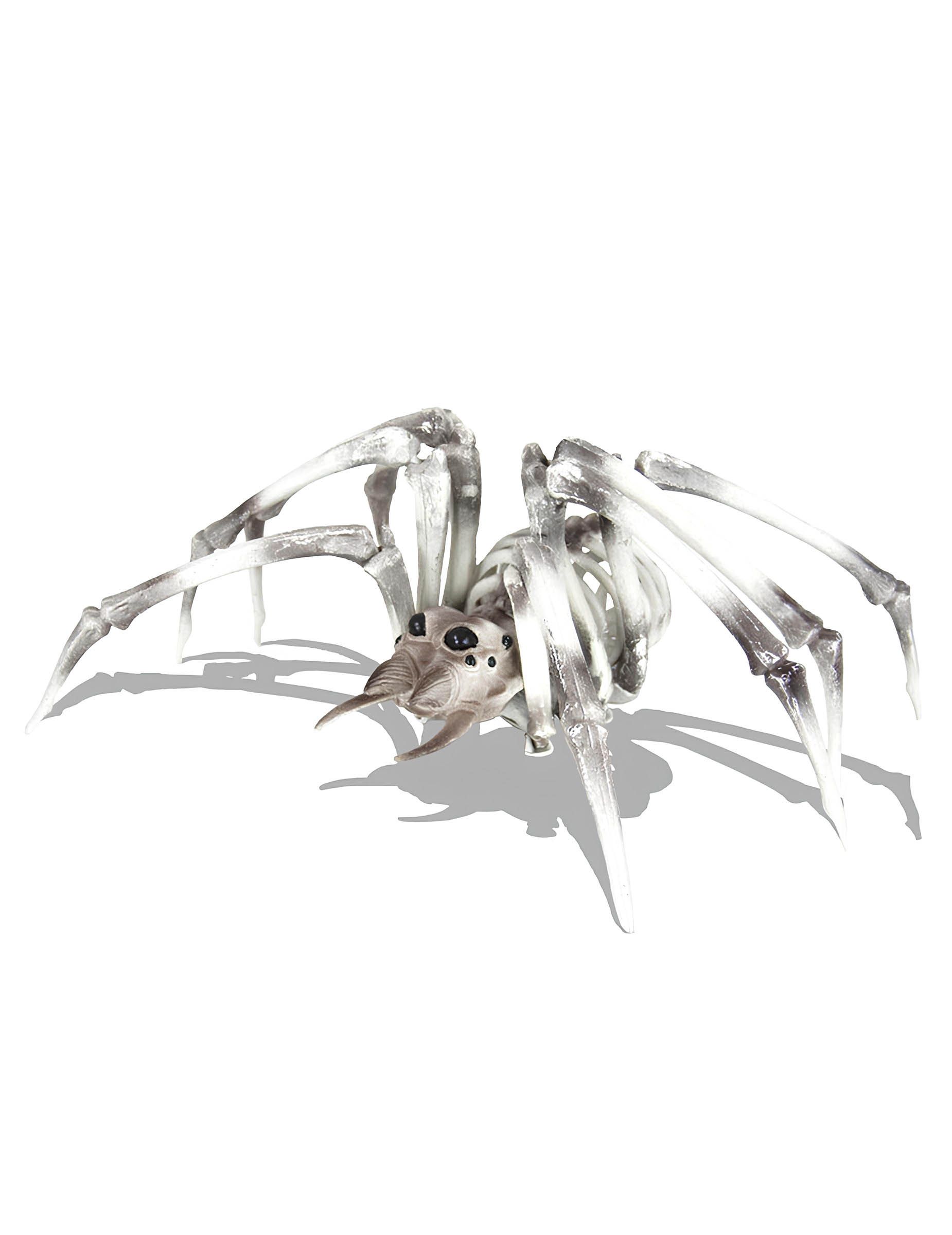 Skelett Spinne XXL 82 cm Halloween Deko von PARTYPRO