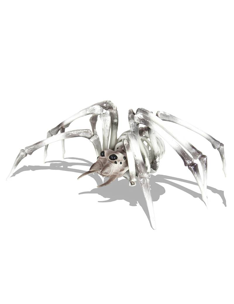 Skelett Spinne XXL 82 cm Halloween Deko Skelett Spinne XXL 82 cm Halloween Deko von PARTYPRO