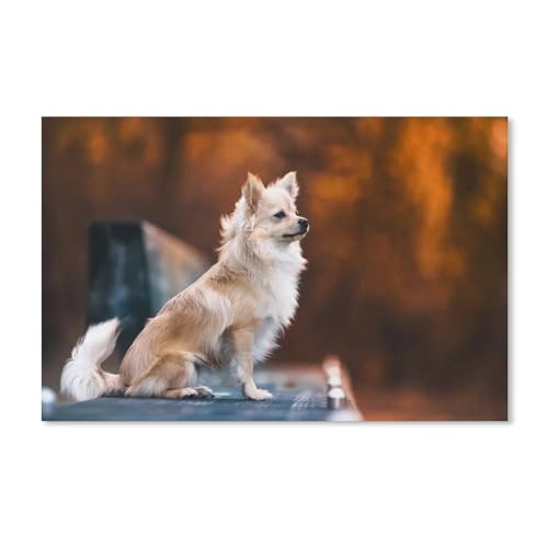 Herbst Hunde Flauschige Chihuahua,Puzzles 1000 Teile für Erwachsene, Klassische Puzzle Jungen Mädchen Puzzle für Kinder Teenager Lernspiel Spielzeug(75x50cm)-Y3 von PAWCA