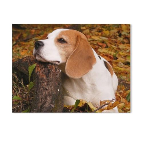 PapierPuzzle 1000 Stück,Beagle-Hund,Erwachsene Kinder Spielzeug Dekompression Spiel(50x70cm)-Y8 von PAWCA