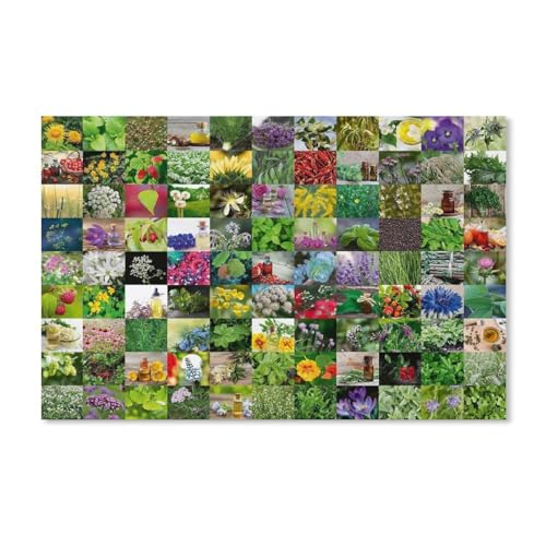 Puzzle 1000 Stück,99 Kräuter und Gewürze,Klassische Puzzle 3D Puzzle DIY Kit Papierspielzeug Einzigartiges Geschenk Wohnkultur(50x70cm)-Y1 von PAWCA