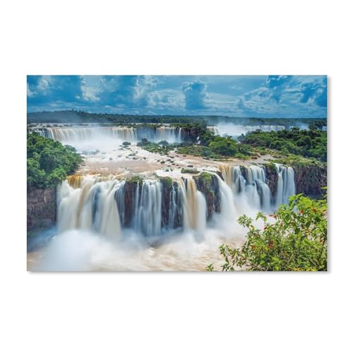 Wasserfälle von Iguazu,Puzzle 1000 Teile für Erwachsene, Klassische Puzzle Puzzle Schwierig für Kid Surprise Birthday für Family Home Decor Art Puzzle(50x70cm)-Y10 von PAWCA
