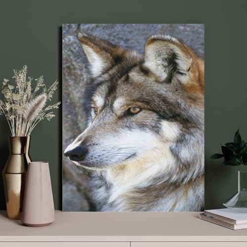 Wolf,Puzzles 1000 Teile für Erwachsene, Klassische Puzzle Jungen Mädchen Puzzle für Kinder Teenager Lernspiel Spielzeug(75x50cm)-Y3 von PAWCA