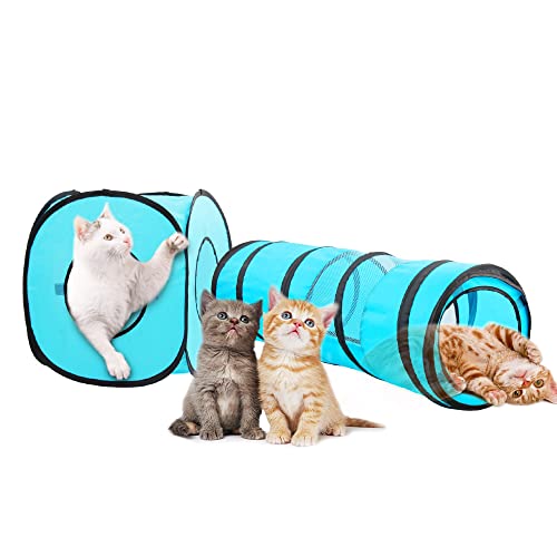 Pawise 2-in-1 Katzenspielzeug Set | Klappbarer Tunnel & Würfel für drinnen & draußen – Weiches Kriechspielzeug für aktive Katzen Pawise 2-in-1 Katzenspielzeug Set | Klappbarer Tunnel & Würfel für drinnen & draußen – Weiches Kriechspielzeug für aktive Katzen von PAWISE